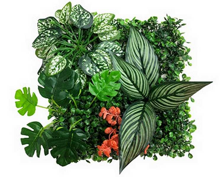 Betta Terra Calathea Garden Mat 25x25cm