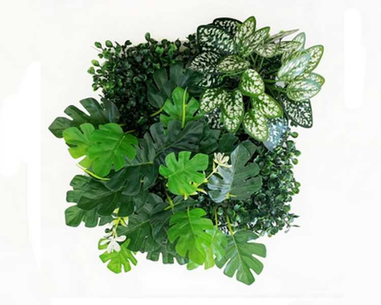 Betta Terra Monstera Plant Garden Mat 25x25cm