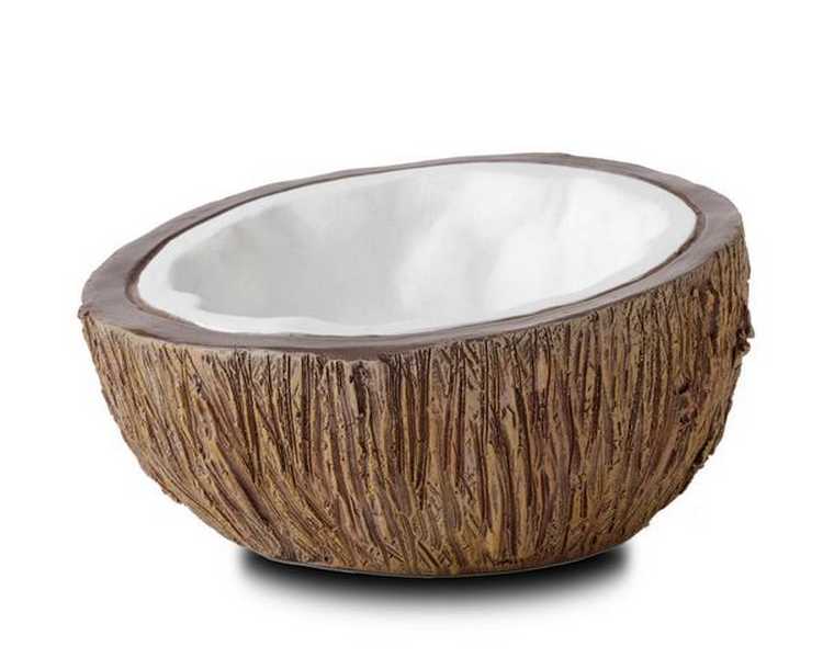 ET Coconut Water Dish