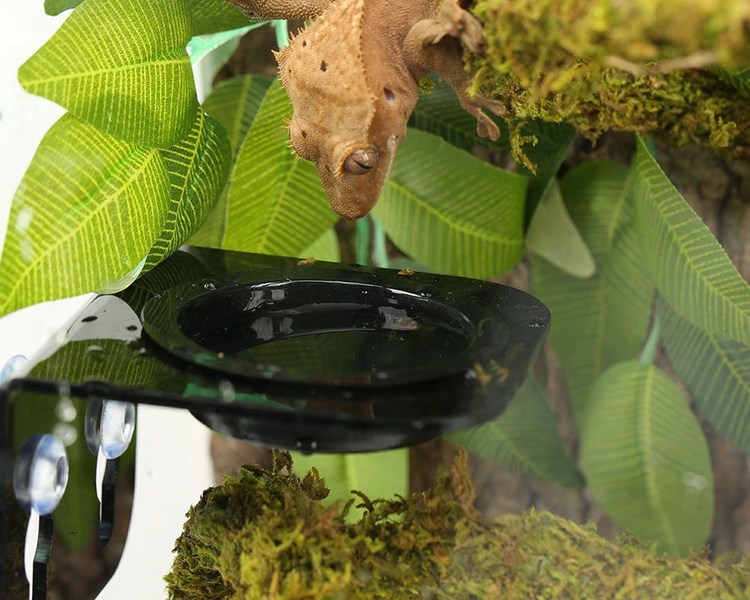 REPTI ZOO Arboreal Feeder - Black - 8x8cm