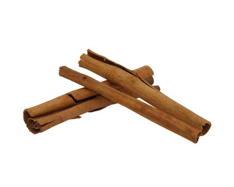 Betta Choice Cinnamon Bark Tubes - 6pcs