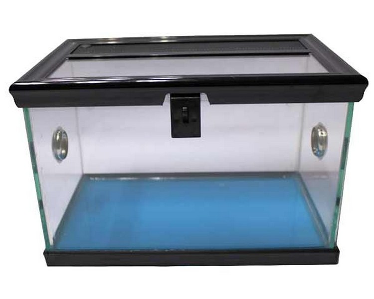 Betta Spider Tank 40x22x24cm - Black